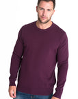 Jenks Crew Neck Jumper