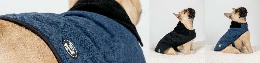 Dogwear