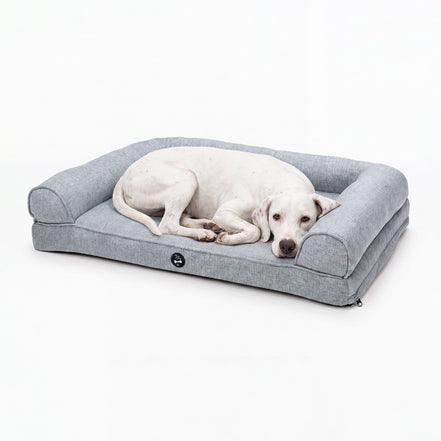 A white dog lies resting on a light gray fabric pet bed with a raised bolster border, photographed against a clean white studio background.