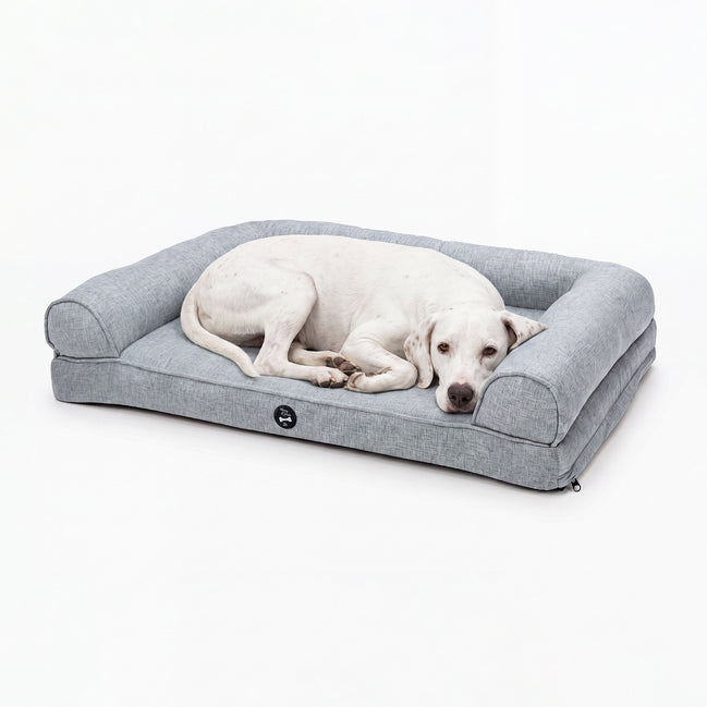 A white dog lies resting on a light gray fabric pet bed with a raised bolster border, photographed against a clean white studio background.