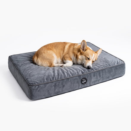 HJ Dog bed jp04
