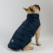 Polly Dog Coat