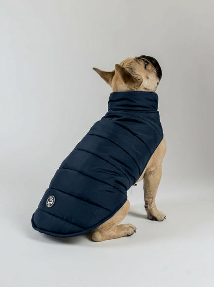 Polly Dog Coat