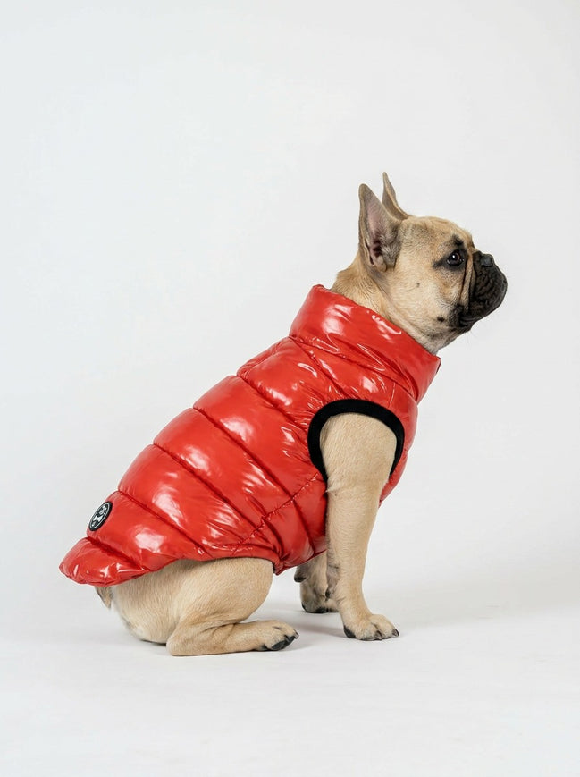 Bernard Dog Coat