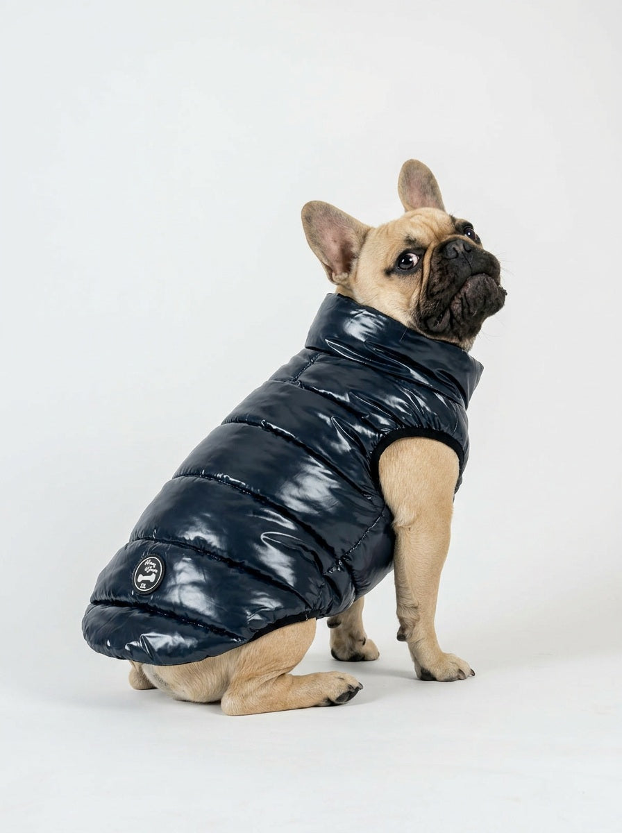 Bernard Dog Coat