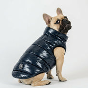 Bernard Dog Coat