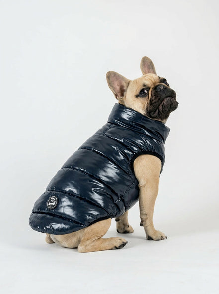 Bernard Dog Coat