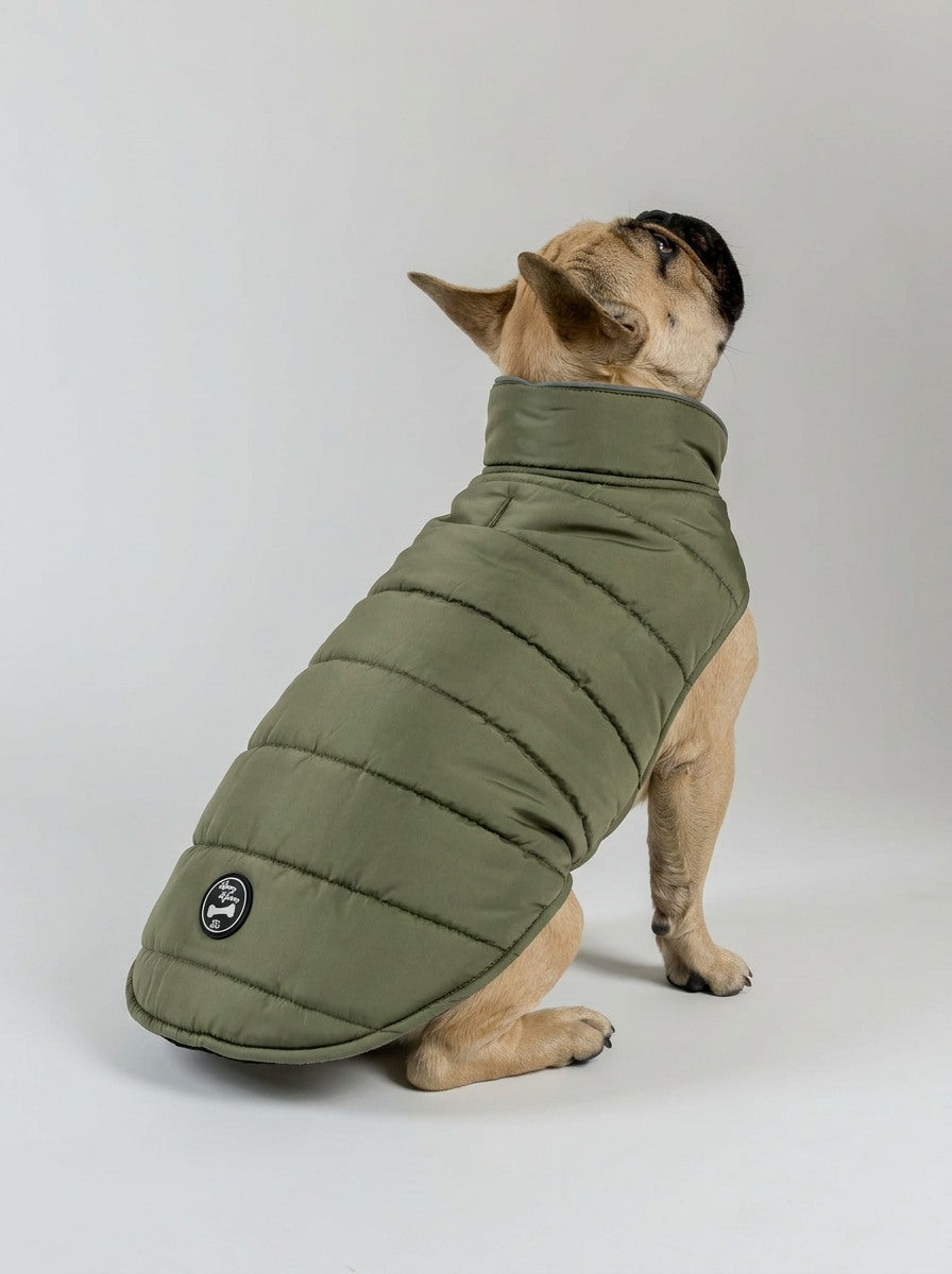 Polly Dog Coat