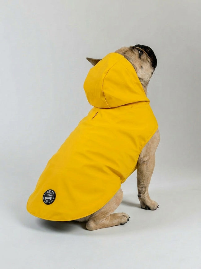 Anderson Dog Coat