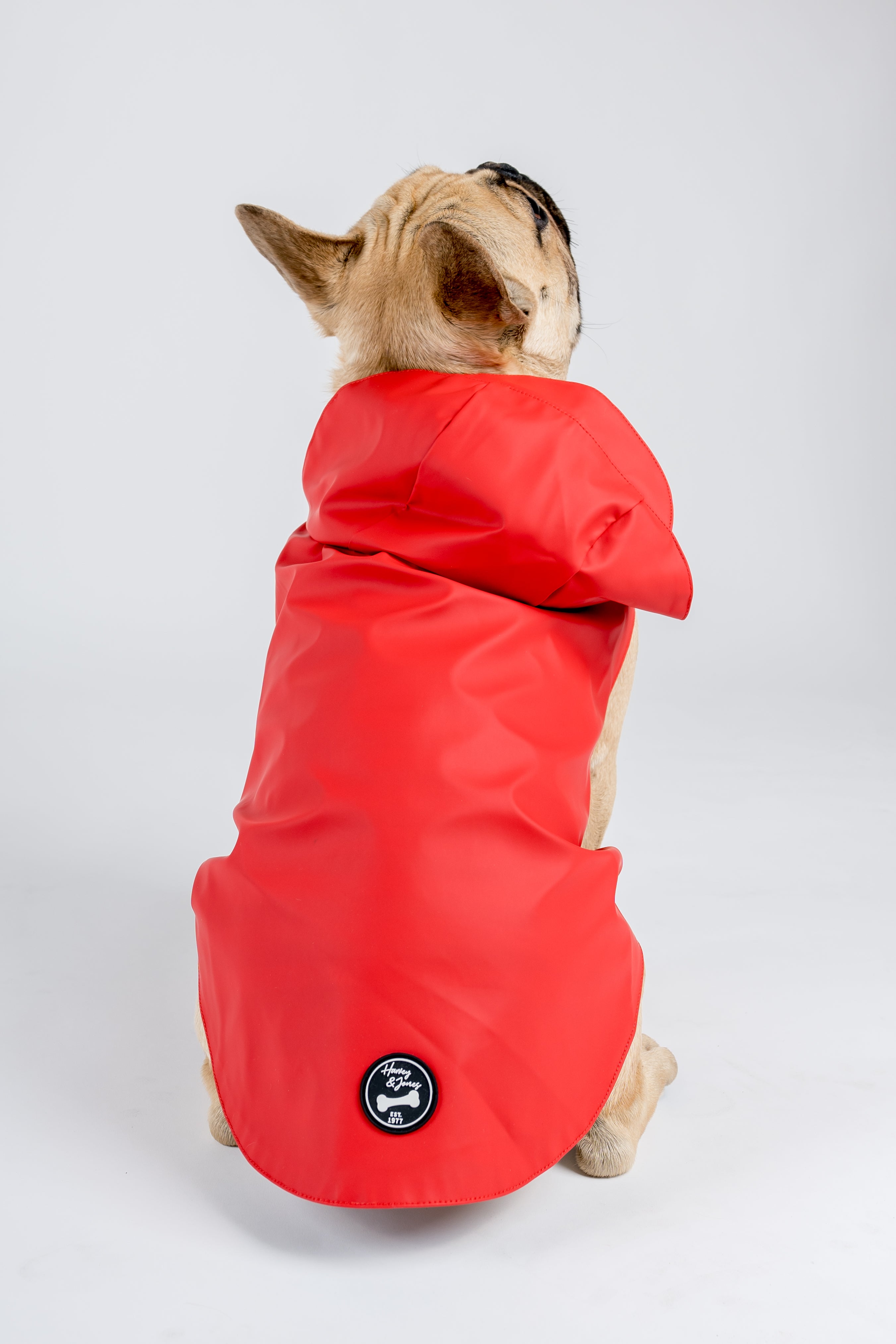 Anderson Dog Coat - Red