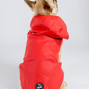 Anderson Dog Coat