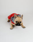 Anderson Dog Coat