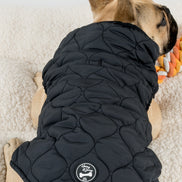 Harold Dog Coat