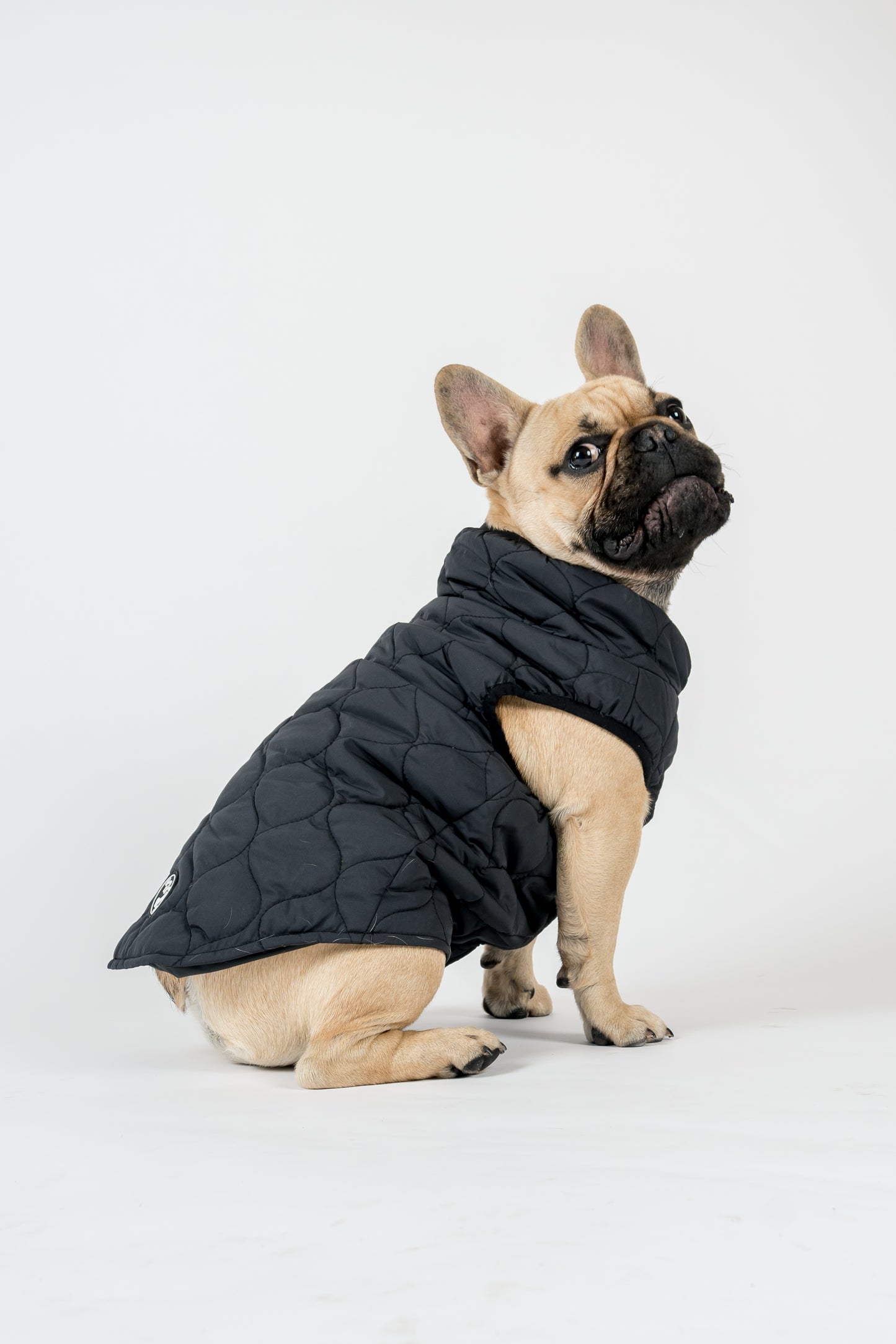 Harold Dog Coat – HarveyandJones