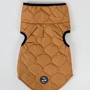 Harold Dog Coat