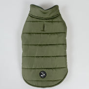 Polly Dog Coat