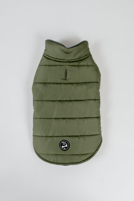 Polly Dog Coat