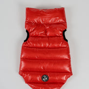 Bernard Dog Coat