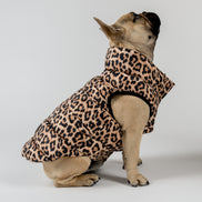 Bernard Dog Coat