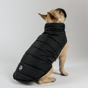 Polly Dog Coat